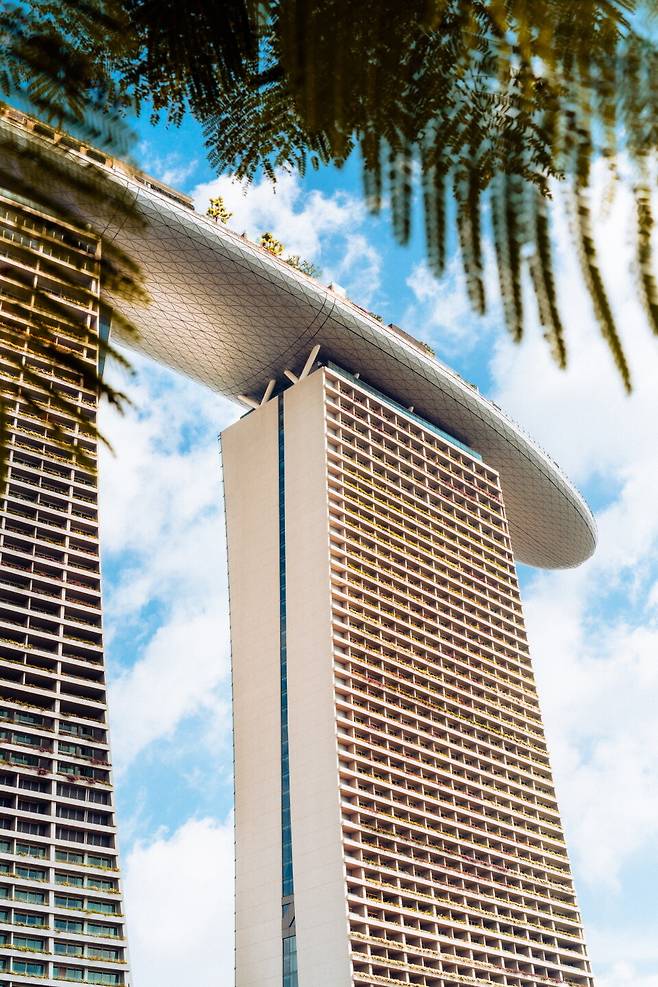 파릇한 나뭇잎과 새파란 하늘, 그리고 MBS. 싱가포르를 대표하는 모든 요소들