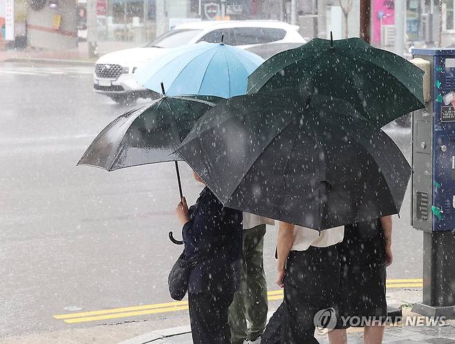 쏟아지는 비 [연합뉴스 자료사진]