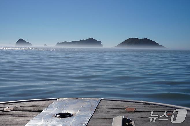 실안개 낀 혈도 풍경. 가운데 혈도를 중심으로 왼쪽은 솔섬, 오른쪽은 납대기섬이다. 2025.9.5/뉴스1 ⓒ News1 조영석 기자