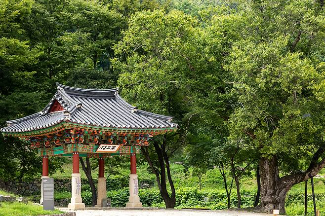 거진읍 금강산 가는 길목에 자리한 '건봉사'. 6·25 등을 거치며 전각이 대부분 소실되고 '불이문'만 남았다. / 양수열 영상미디어 기자