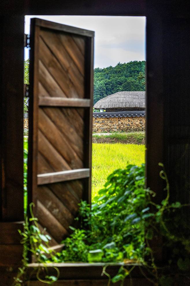 정미소 문틈 사이로 보이는 왕곡마을의 가을. 일본 애니메이션 '스즈메의 문단속'에서처럼 문 하나를 사이에 두고 가을과 여름 사이를 오가는 것만 같다. / 양수열 영상미디어 기자