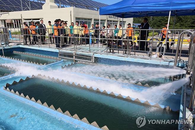 홍제정수장 운반 급수 현장점검하는 김민석 총리 (강릉=연합뉴스) 이정훈 기자 = 강릉 가뭄 현장점검에 나선 김민석 국무총리가 5일 강원 강릉시 홍제정수장을 찾아 운반 급수 현장을 살펴보고 있다. 2025.9.5 uwg806@yna.co.kr
