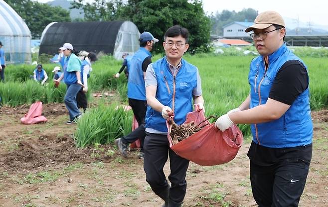 경기도경제과학진흥원 김현곤 원장을 비롯한 임직원들이 가평군 수해복구를 위한 자원봉사를 진행했다.