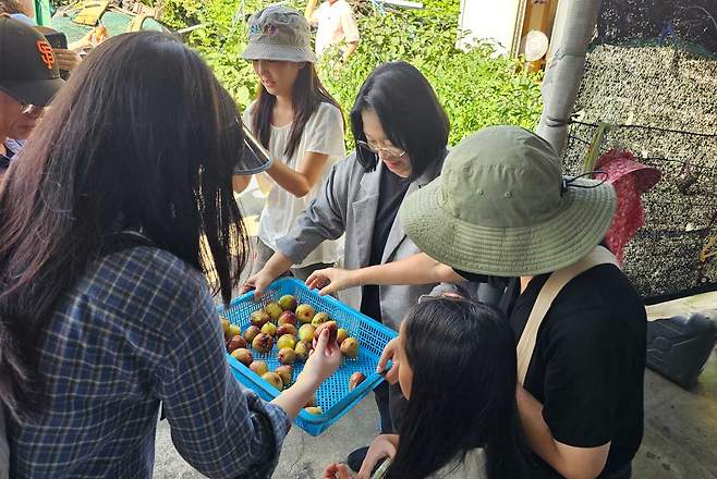 6일 제주시 조천읍 일대에서 진행된 '솔째기 제주와수다' 로컬여행 팸투어. ⓒ제주의소리
