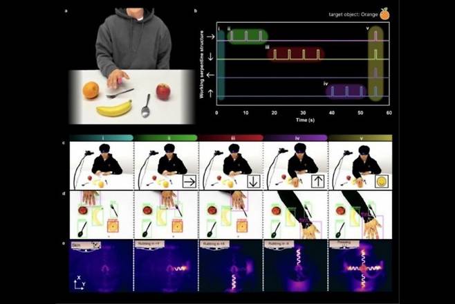 단일 형상기억합금 액추에이터를 착용한 연구원이 시야가 가려진 상태에서 오렌지의 위치를 찾아내는 모습. 카네기멜론대 제공.