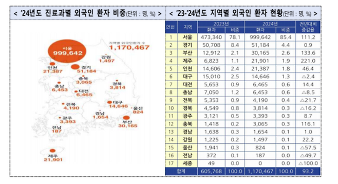 2024년 진료과·지역별 외국인 환자 현황(자료=보건복지부)