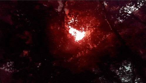 노원구 아파트 화재 현장 / 사진=노원소방서 제공