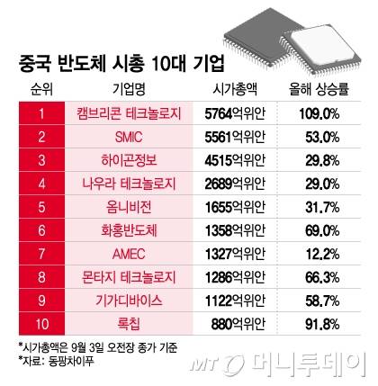 중국 반도체 시총 10대 기업/그래픽=이지혜