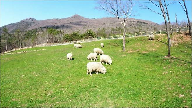 숲소리공원. 거제시청 제공