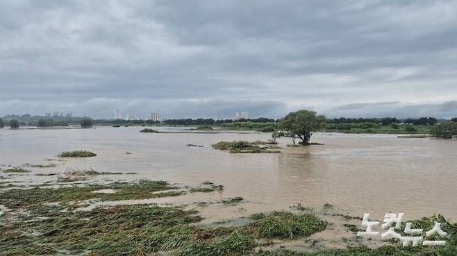 6일 밤부터 내린 폭우로 급격히 불어난 만경강 일대. 전주시는 인근 진기마을 주민들에게 대피 명령을 내렸다. 심동훈 기자