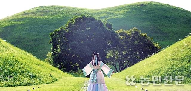 대릉원의 목련 포토존. 지금은 흰 목련 대신 초록이 한가득이다. 경주=김도웅 프리랜서 기자