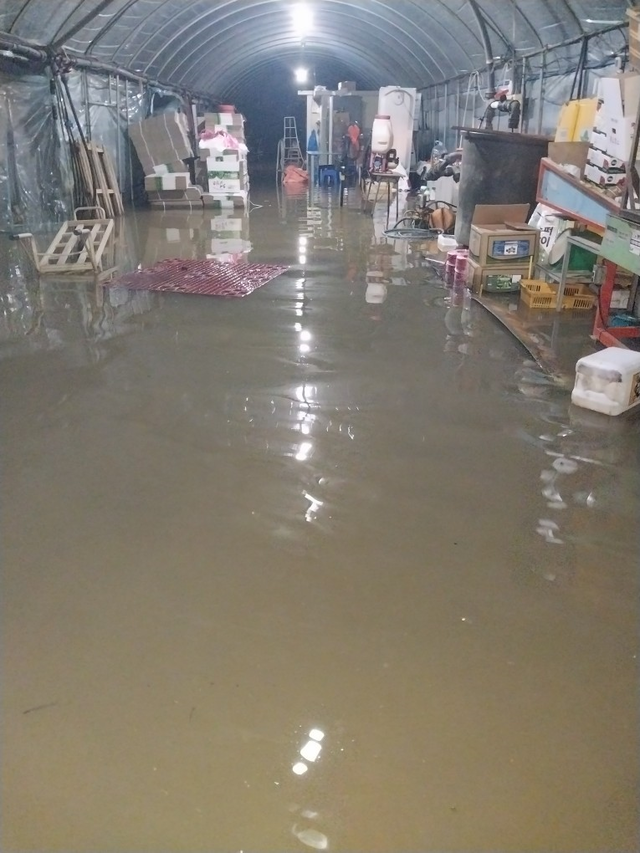 충남 논산시의 한 시설하우스가 6일 밤 내린 폭우로 침수된 모습. 충남세종농협본부.