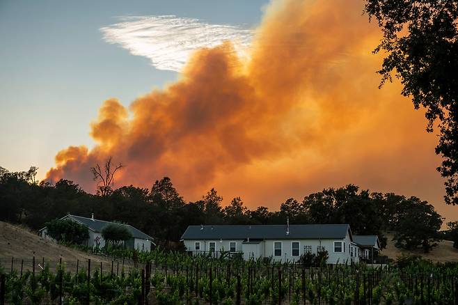 2025년 8월 23일 캘리포니아주 유명 와인산지 나파 카운티 에트나 스프링스 지역 포도원 뒤로 대형 산불 '피켓 파이어'가 타오르고 있다. /연합뉴스