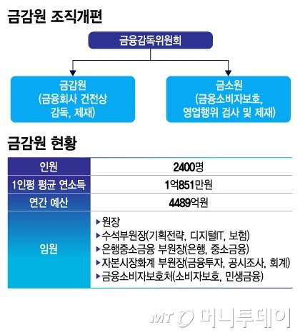 금감원 조직개편 내용과 조직현황/그래픽=김지영