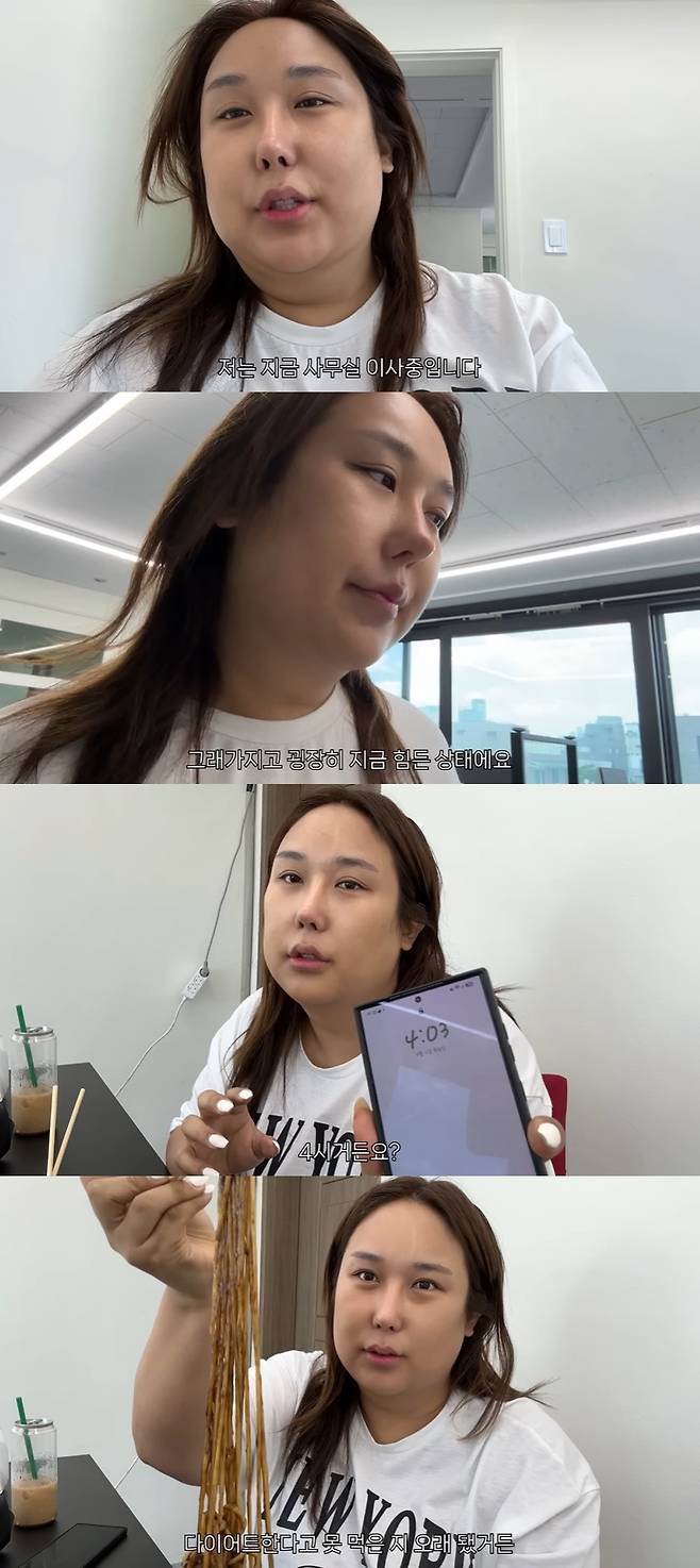 풍자테레비 캡처