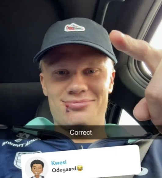 [사진] 데일리 메일