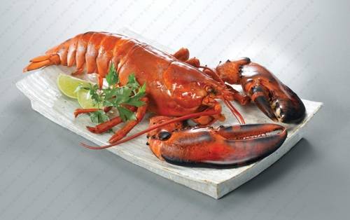 사진은 기사 내용과 무관함. 연합뉴스