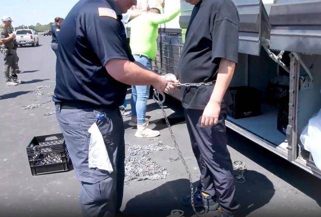 미국 이민당국이 4일 홈페이지를 통해 공개한 조지아주 현대차그룹-LG에너지솔루션 합작 배터리 공장 건설 현장에서 진행된 불법 체류·고용 단속 모습. 연합뉴스