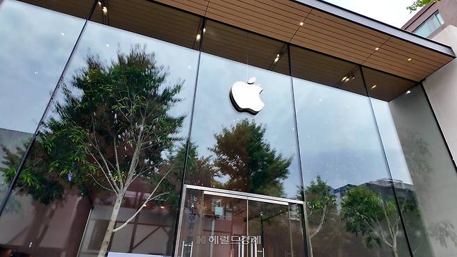 서울 강남구 가로수길에 있는 애플스토어 1호점. [이건욱PD]