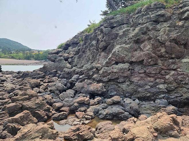 부안 도청리 솔섬 응회암 내 구상구조. [국가유산청]