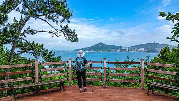 신지대교 들머리 전망대, 멀리 완도 동망산이 보인다.