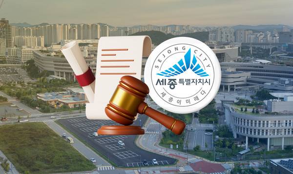 행정수도 세종 완성. 그래픽=김연아 기자