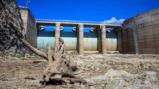 10일 오후 강원 강릉시 오봉저수지가 바짝 말라붙어 바닥을 드러내고 있다. 최악의 가뭄 사태를 맞고 있는 강릉지역의 지역 식수 87%를 담당하는 오봉저수지의 저수율은 이날 오전 9시 기준 12.0%로(평년 70.9%) 전날 동시간 대 확인된 저수율 12.3%보다 0.3%p 더 낮은 수치다. 2025.9.10/뉴스1 ⓒ News1 김진환 기자