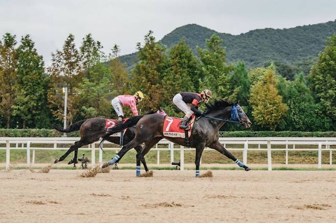 코리아컵 우승마인 일본의 '딕테이언'이 경주를 하고 있다.(사진제공= 마사회)