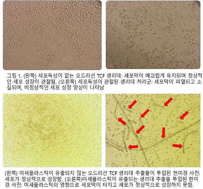 사진=오드리선