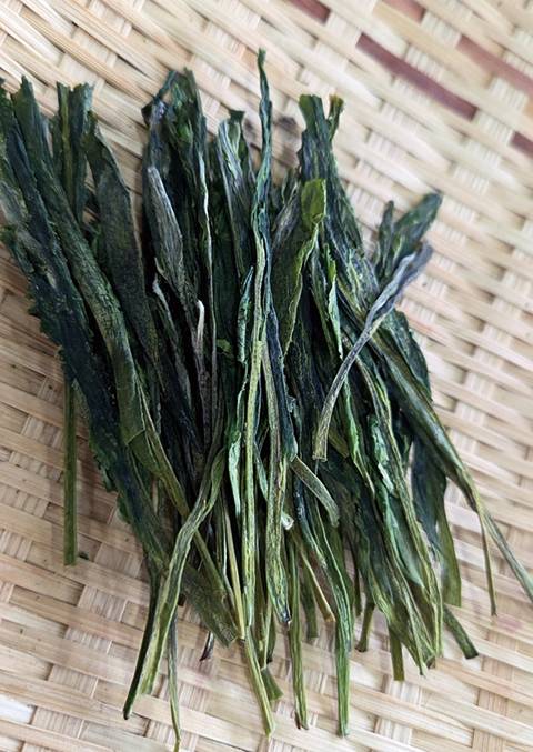 미역을 닮은 태평후괴는 길이 7cm 정도를 최고로 친다.