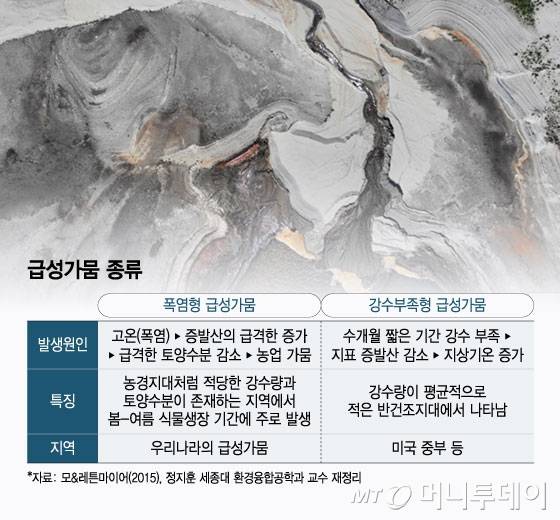 급성가뭄 종류/그래픽=윤선정