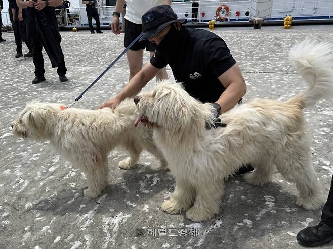 ������ ������ 10�� ���츮������ ����=[��) �ѱ���찳 ���  Ȩ������]