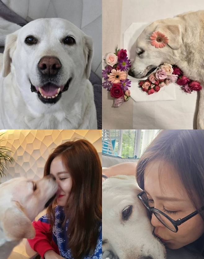 채리나 소셜미디어