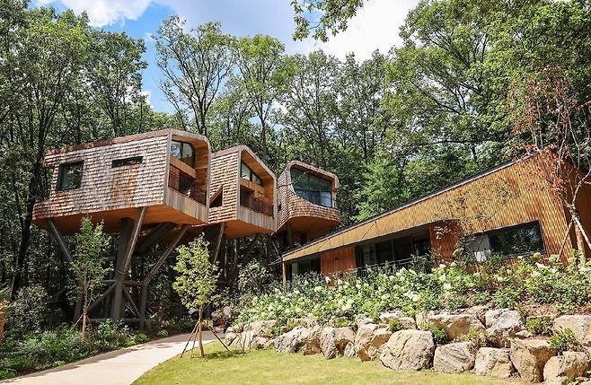 트리하우스 전경 [사진/임헌정 기자]