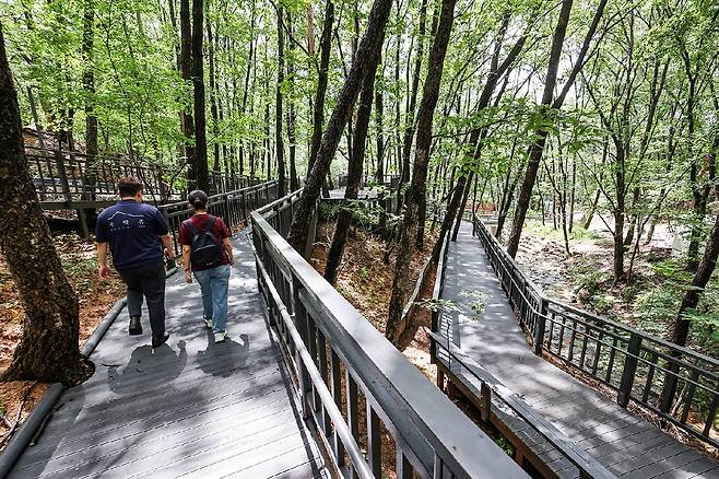무장애 숲길 [사진/임헌정 기자]