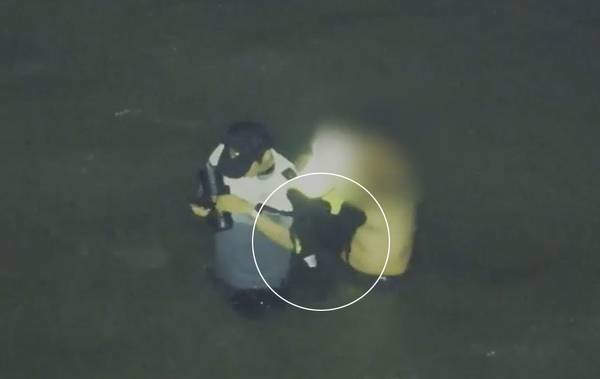 11일 새벽 해당 장소 인근 섬에서 인천해경서 소속 이재석 경사가 고립된 70대 중국인 남성 A씨에게 자신이 입고 있던 부력조끼를 건네 구조한 후 실종됐다가 심정지 상태로 발견돼 병원에 옮겨졌으나 끝내 숨졌다. 고(故) 이재석(34) 경사가 11일 오전 3시30분께 인천 옹진군 영흥면 꽃섬 인근에서 고립자에게 구명조끼를 벗어주고 있다. 흰색 원안에 고립자에게 벗어 주는 구명조끼가 보이고 있다. 2025.9.11 /인천해양경찰서 제공