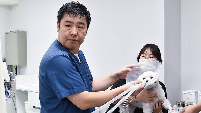 안형택 월드펫동물메디컬센터 영상 실장(왼쪽)이 환견의 MRI 촬영을 준비하고 있다(동물병원 제공). ⓒ 뉴스1