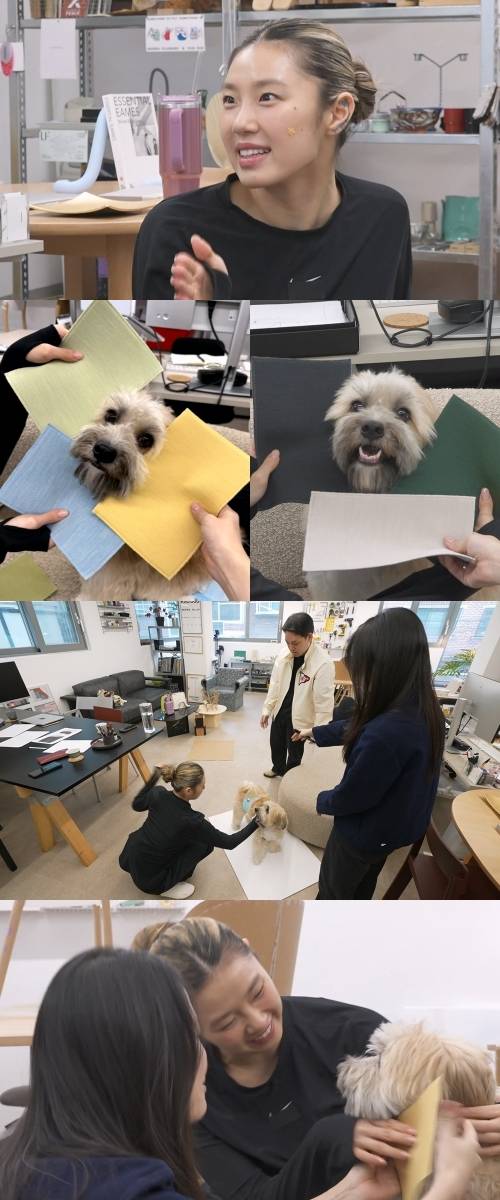 iMBC 연예뉴스 사진