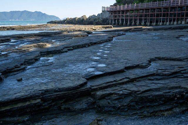 고성 상족암 해변의 파식대에 선명하게 남은 공룡 발자국.