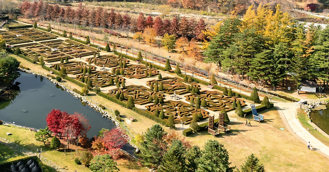 켄싱턴 호텔 평창 내 프렌치 가든 자수정원. [사진출처 = 이랜드파크]