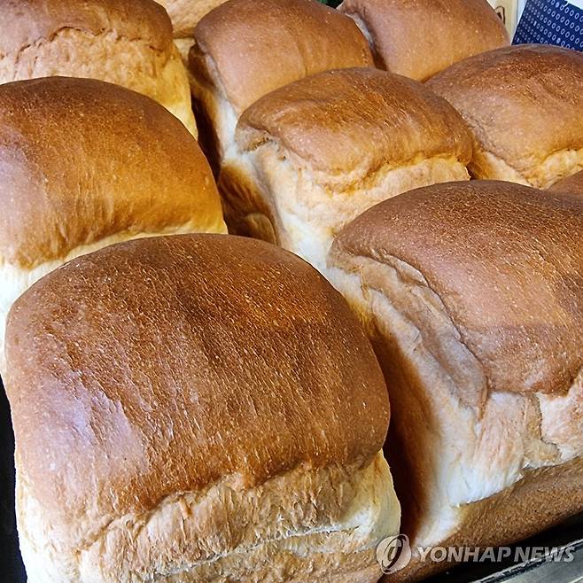 빵 [촬영 이충원]