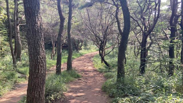 북문에서 동문으로 가는 길은 아름답다.