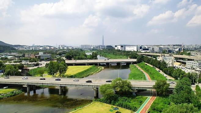 강남구 탄천과 세곡천 전경./강남구 홈페이지 제공