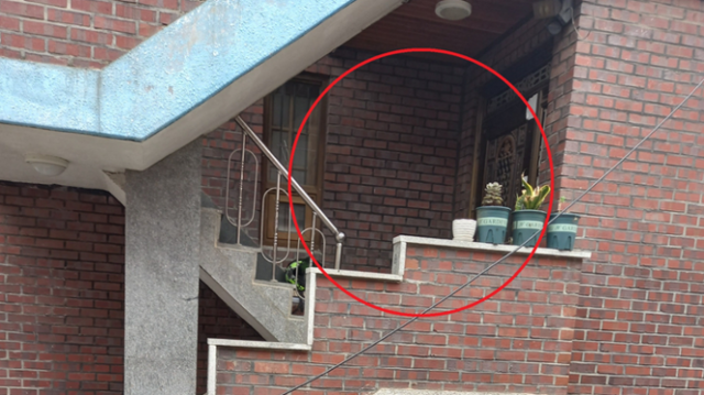 지난 2022년 서울 강북구의 한 빌라에서 키우던 개를 3층 높이에서 집어던지는 사건이 발생했다. 동물자유연대 제공