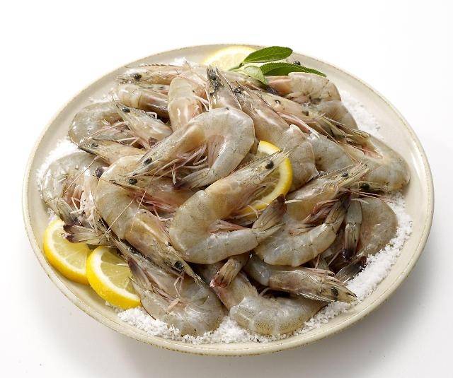 새우 / 사진 = 롯데마트