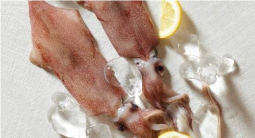 한치 / 사진 = 수협중앙회