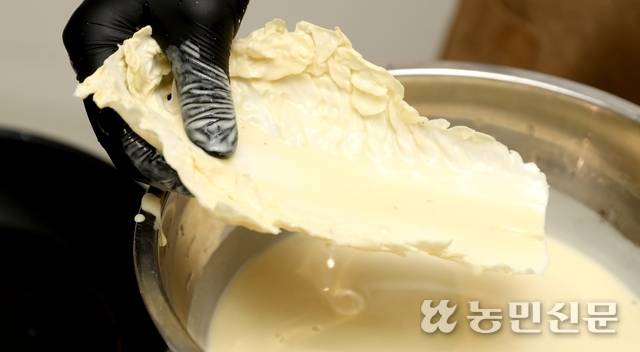 두꺼운 배추 줄기에만 칼집을 넣고 반죽을 묻힌다.