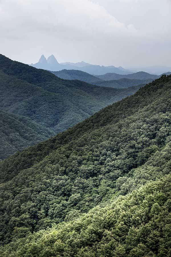 천등산 능선에서 본 마이산. 멀리서 보면 더 말의 귀를 닮았다.