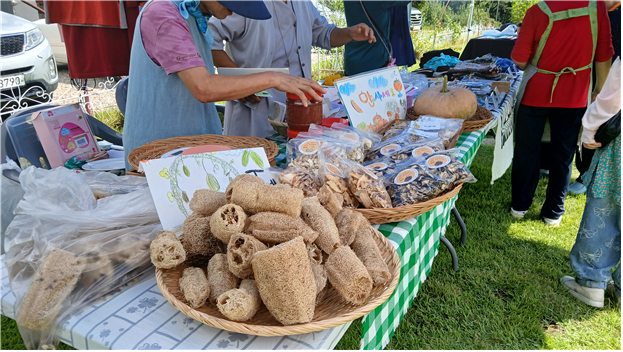 공성면 영오리 파머스마켓 현장 모습. 마을 주민들이 직접 기른 수세미, 말린 채소, 수제 장류 등 지역 특산물을 판매하며 순환경제 실현의 기반을 다지고 있다.