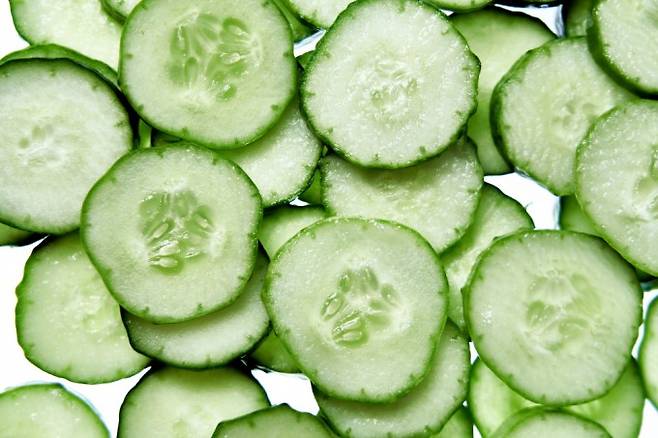 오이. 게티이미지뱅크 제공